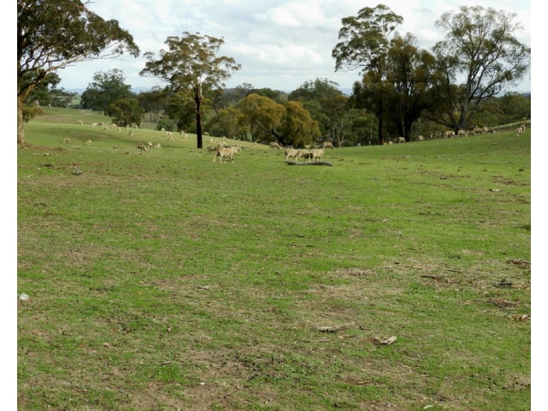 2188 Gurrundah Road, Goulburn NSW 2580