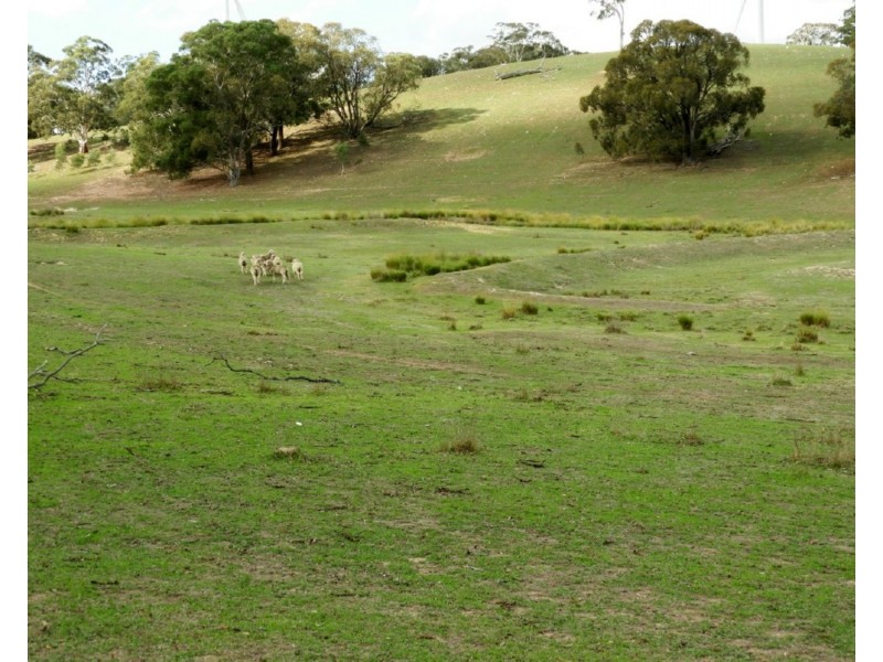 2188 Gurrundah Road, Goulburn NSW 2580