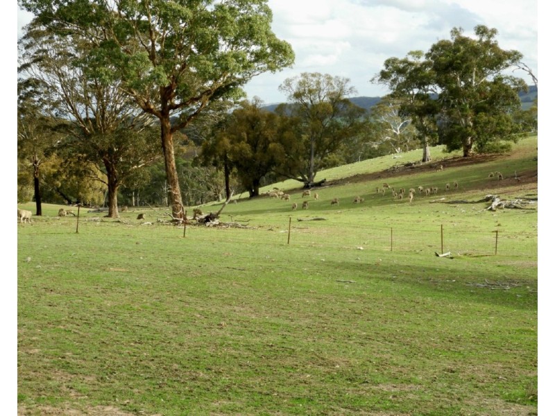 2188 Gurrundah Road, Goulburn NSW 2580