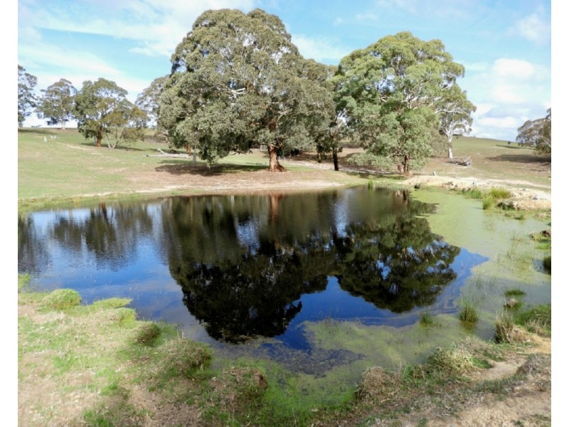 2188 Gurrundah Road, Goulburn NSW 2580