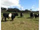 Lot 2 Slaters Lane, Laggan NSW 2583