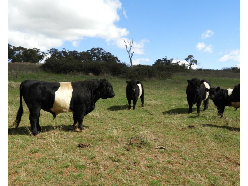 Lot 2 Slaters Lane, Laggan NSW 2583