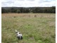 Lot 2 Slaters Lane, Laggan NSW 2583