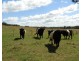 Lot 2 Slaters Lane, Laggan NSW 2583