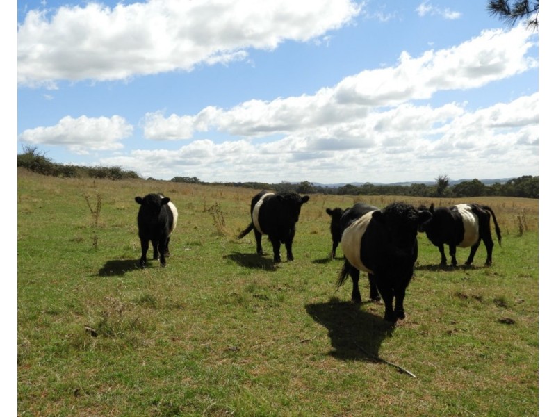 Lot 2 Slaters Lane, Laggan NSW 2583