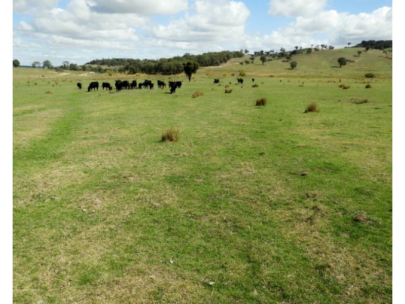 105 Cuddyong Road, Binda NSW 2583
