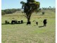 105 Cuddyong Road, Binda NSW 2583