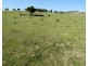 105 Cuddyong Road, Binda NSW 2583