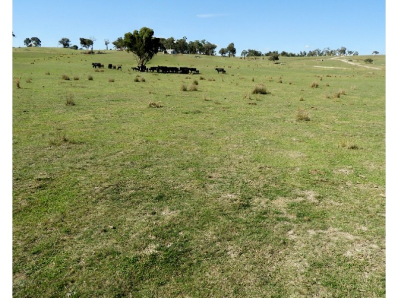105 Cuddyong Road, Binda NSW 2583