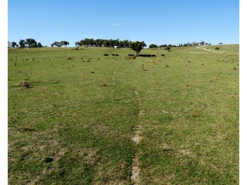 105 Cuddyong Road, Binda NSW 2583