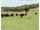 105 Cuddyong Road, Binda NSW 2583