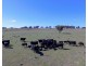 105 Cuddyong Road, Binda NSW 2583