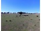 105 Cuddyong Road, Binda NSW 2583