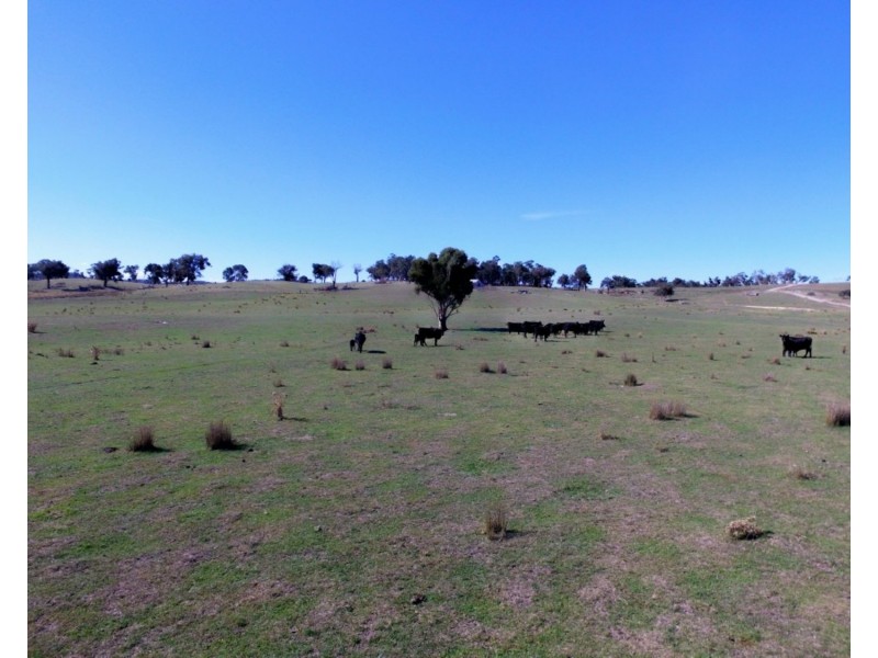 105 Cuddyong Road, Binda NSW 2583