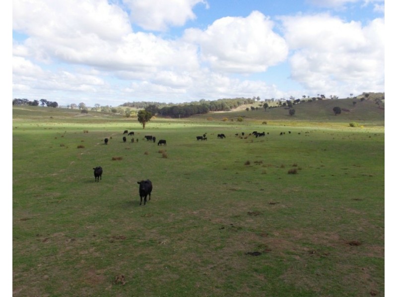 105 Cuddyong Road, Binda NSW 2583