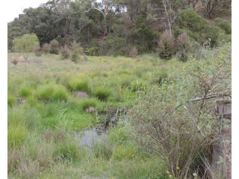 1046 Lumley Road, Bungonia NSW 2580