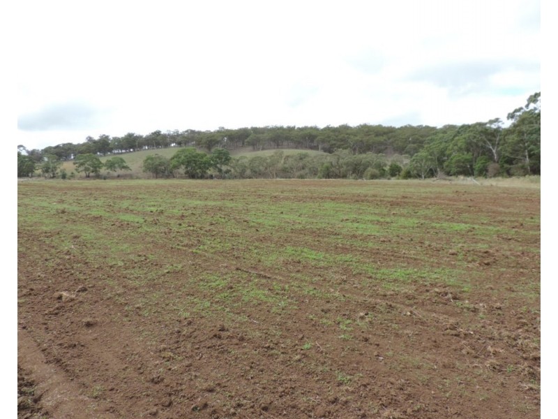 1046 Lumley Road, Bungonia NSW 2580