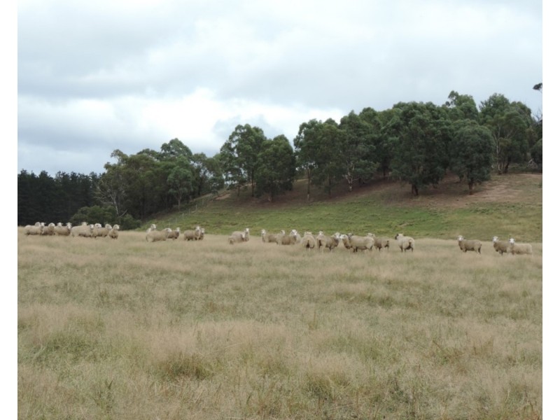 1046 Lumley Road, Bungonia NSW 2580