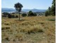 95 Streamville Road, Bigga NSW 2583