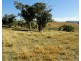 95 Streamville Road, Bigga NSW 2583