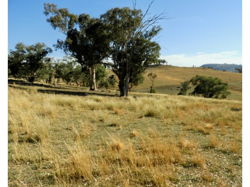 95 Streamville Road, Bigga NSW 2583