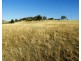 95 Streamville Road, Bigga NSW 2583