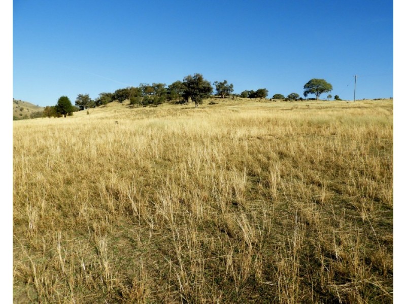 95 Streamville Road, Bigga NSW 2583