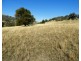 95 Streamville Road, Bigga NSW 2583