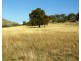 95 Streamville Road, Bigga NSW 2583