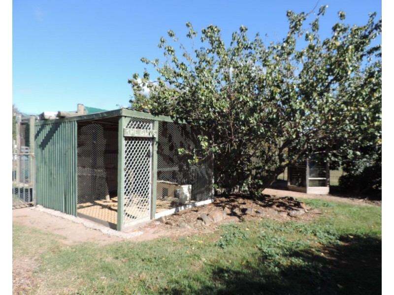 638 Jerrara Road, Narrawa NSW 2583