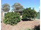 638 Jerrara Road, Narrawa NSW 2583