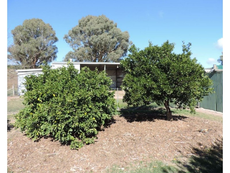 638 Jerrara Road, Narrawa NSW 2583