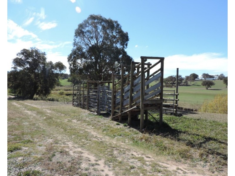 638 Jerrara Road, Narrawa NSW 2583