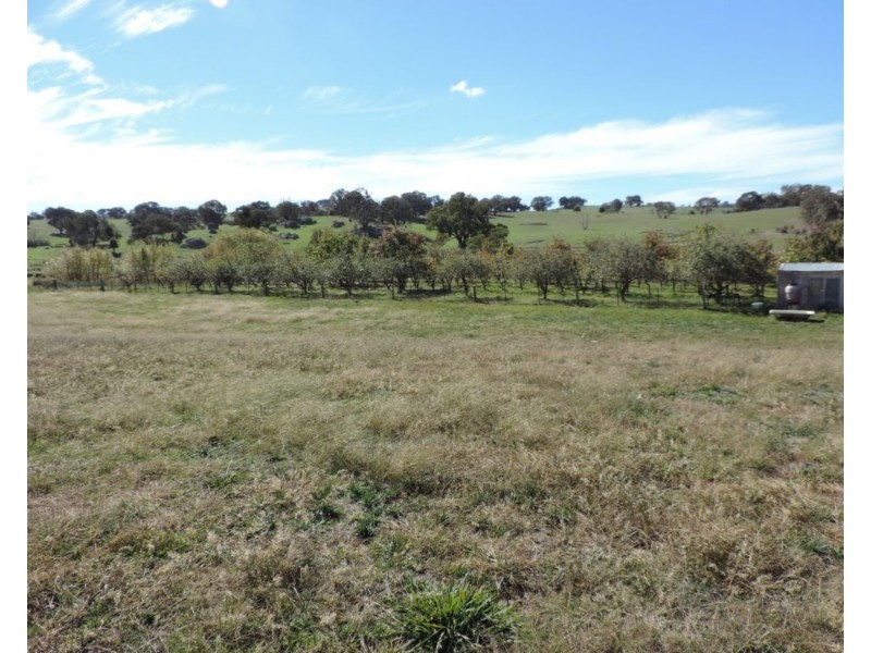 638 Jerrara Road, Narrawa NSW 2583