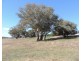 638 Jerrara Road, Narrawa NSW 2583