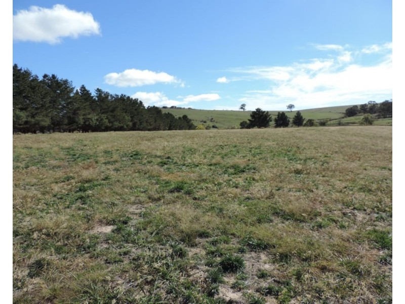 638 Jerrara Road, Narrawa NSW 2583