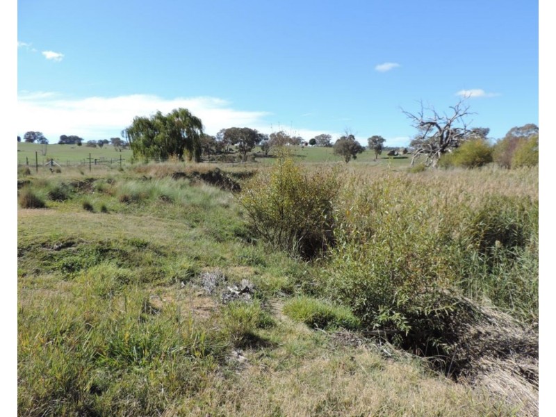 638 Jerrara Road, Narrawa NSW 2583