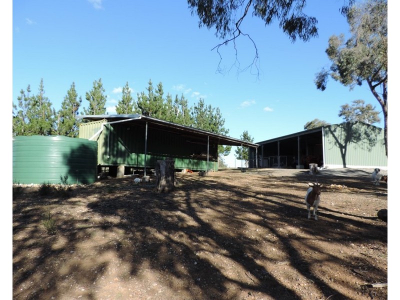 1548 Brayton Road, Marulan NSW 2579