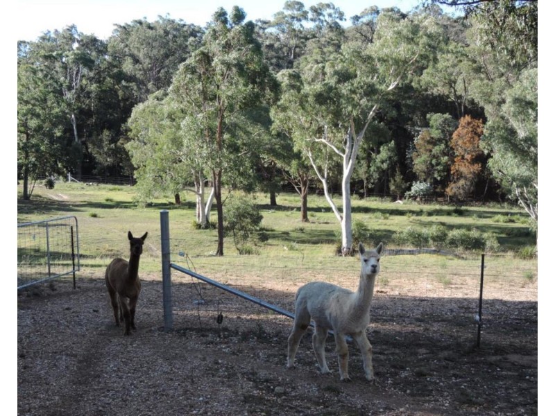 1548 Brayton Road, Marulan NSW 2579