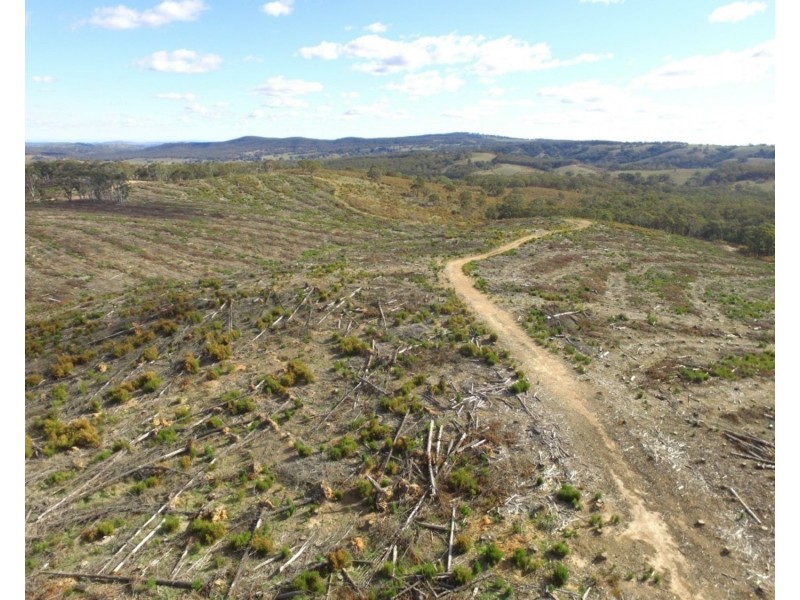 Lot 4 Mullins Creek Road, Gurrundah NSW 2581