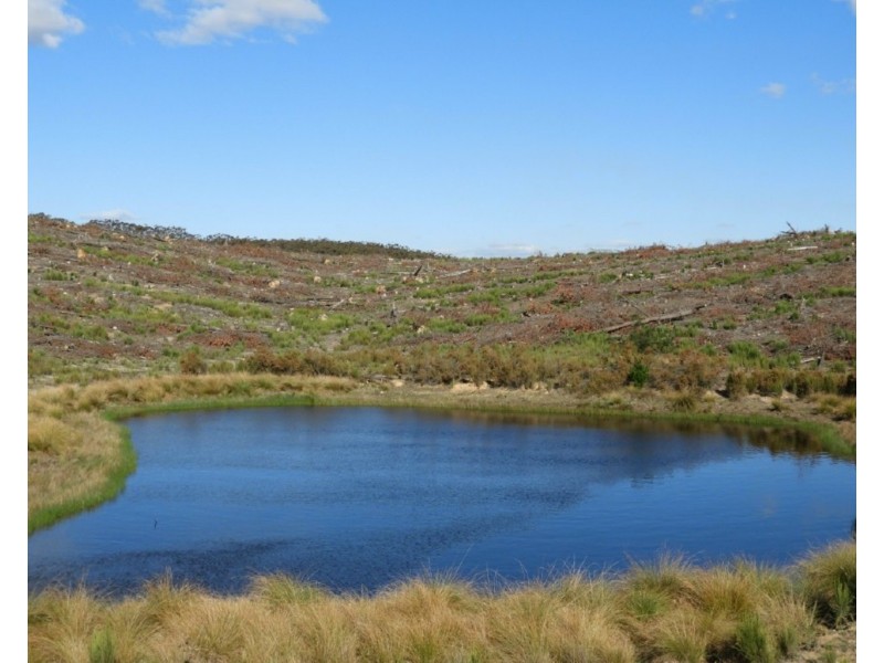 Lot 4 Mullins Creek Road, Gurrundah NSW 2581