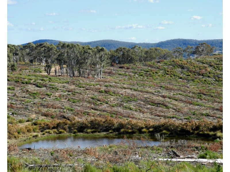 Lot 4 Mullins Creek Road, Gurrundah NSW 2581