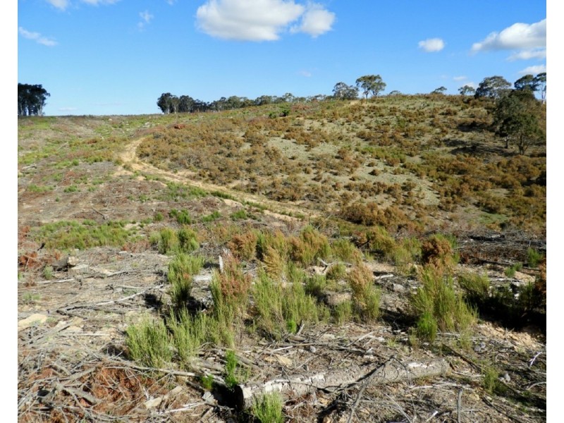 Lot 4 Mullins Creek Road, Gurrundah NSW 2581