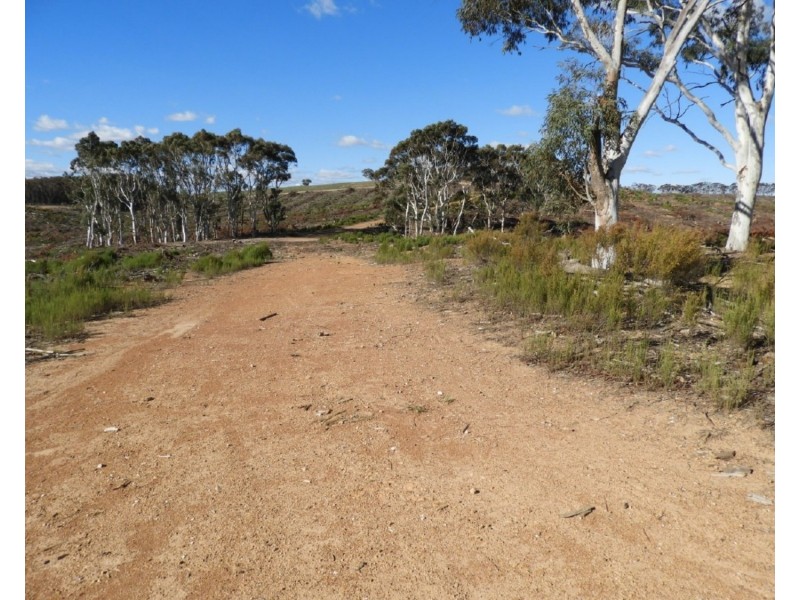 Lot 4 Mullins Creek Road, Gurrundah NSW 2581
