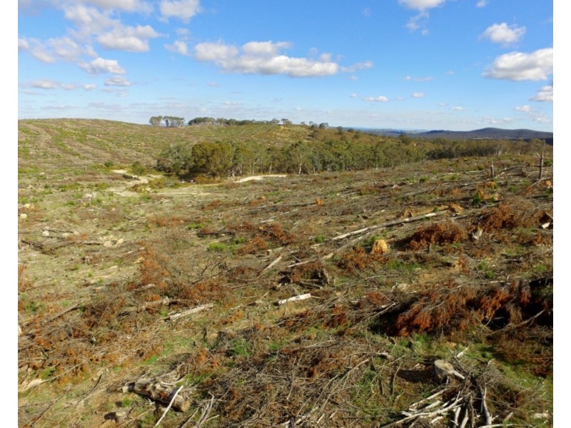 Lot 4 Mullins Creek Road, Gurrundah NSW 2581