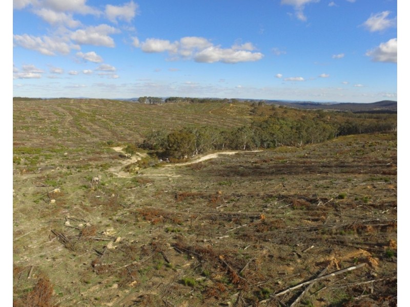 Lot 4 Mullins Creek Road, Gurrundah NSW 2581