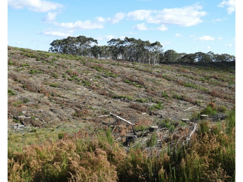 Lot 4 Mullins Creek Road, Gurrundah NSW 2581