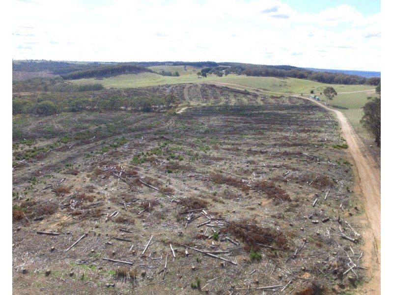 Lot 4 Mullins Creek Road, Gurrundah NSW 2581