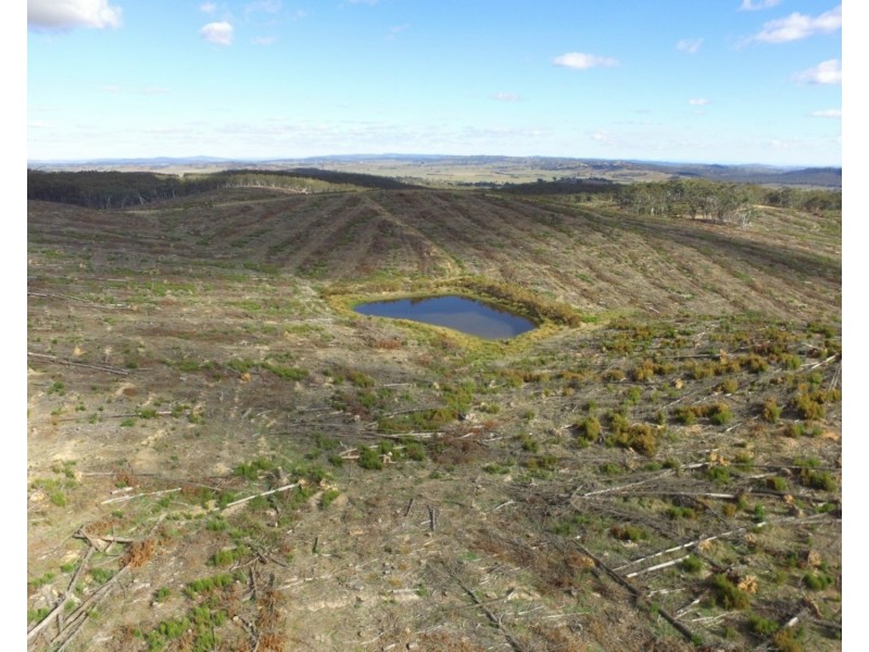 Lot 4 Mullins Creek Road, Gurrundah NSW 2581