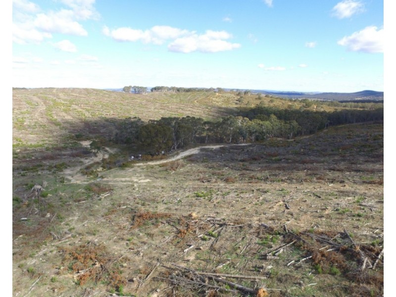 Lot 4 Mullins Creek Road, Gurrundah NSW 2581